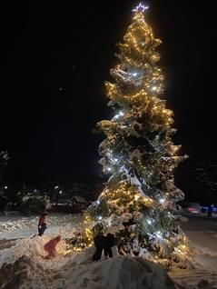 Rozsvícení vánočního stromu 2023
