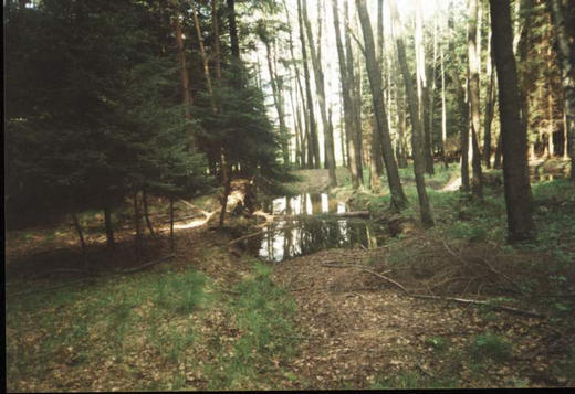 Okolí