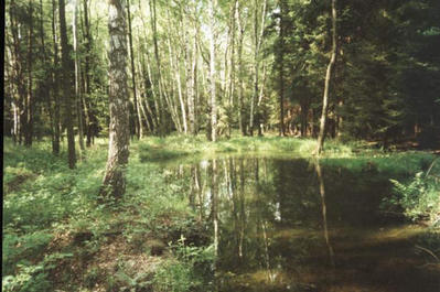 Okolí Sedletína